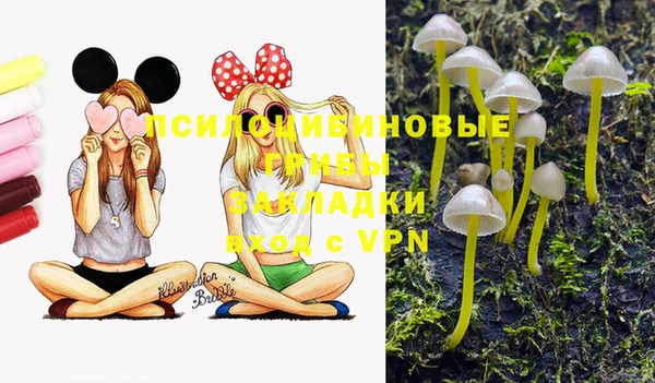 бошки Дмитриев