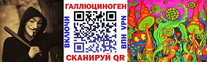 Псилоцибиновые грибы Magic Shrooms  дарнет шоп  mega вход  Бердск 